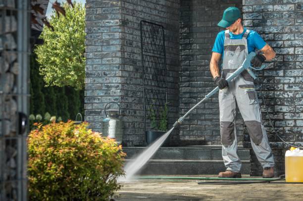Animal Enclosure Cleaning in Amesti, CA