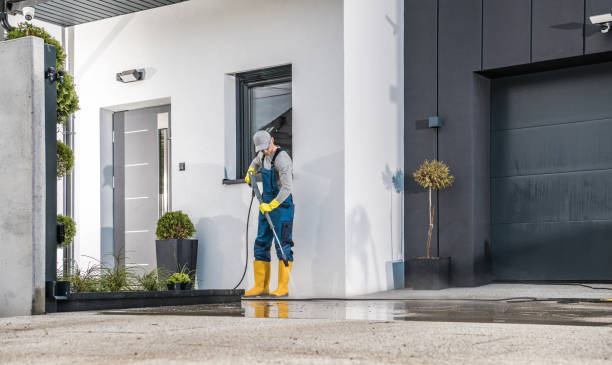 Best Roof Washing  in Amesti, CA